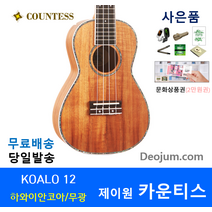 우쿨렐레 KOALO 12 문화상품권2 선물, 콘서트