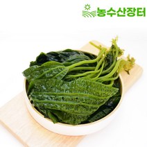 산지직송 고흥 생 쇠미역 생 곰피 미역 5kg, 생 곰피미역5kg