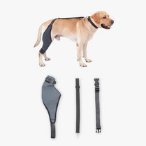 대형견 애견다리보조기 관절보호 뒷다리 XL 보행보조, 검정_XL 왼발