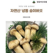 [경동버섯유통 송이 능이]자연산 송이버섯/ 냉동 1pk 냉동송이/L M S 2S 3S C/1kg
