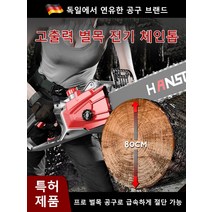 [독일품질] 고출력 가정용 체인톱 충전식 전기톱 미니전동톱 무선전기톱 강력 예리한 손톱, 8800w, 유럽, 1개