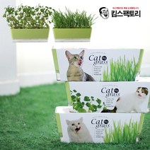 고양이 캣그라스 키우기 세트 재배키트 캣닢 밀 귀리 미니화분, 선택2. 캣닢