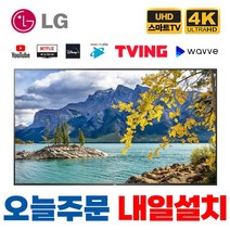 LG 43인치 109cm(43) 4K UHD 스마트 LED TV 2020년 43UN6950, 지방벽걸이설치, 43UHD스마트