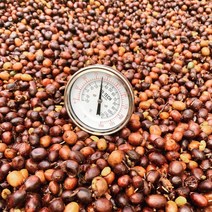 콜롬비아 라 루이사 파카마라 무산소발효 마이크로랏 (La Luisa Pacamara Micro Lot) 200g, 1개