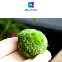 아쿠아시스템 정품 프리미엄 모스볼, 상세페이지 참조