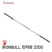 중량봉 올림픽봉 바벨 원판 역기 봉 세트 홈짐 홈트 탄력봉 2200