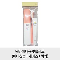 왕타 휴대용 칫솔세트 (미니칫솔+케이스+치약), 1개
