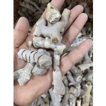 산호석 어항바닥재 돌 장식 - 불규칙한 자연 회색 산호 느슨한 구슬 나무 디자인 분기, 3개