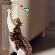 고양이 강아지 긁긁 방지 반려묘 스크래치 긁음 방지 1+1