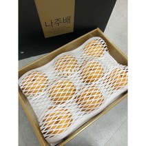나주 햇배특상 원항 선물용배5kg/7.5kg/15kg, 1박스, 나주 햇배특품15kg (16-20과)