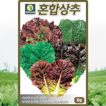 혼합상추 씨앗 모둠상추 씨 종자 6g, 1개