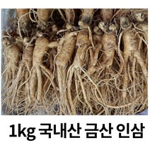 국내산 금산 인삼 수삼 가정용 인삼 5년근1kg (15-18뿌리), 1KG세척(X)
