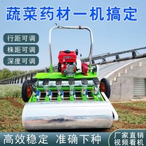 씨앗파종기 종자 땅콩 콩 파종기 핸드 푸시 다기능 야채 작은 고수풀 양배추 시금치 셀러리 무 가솔린 주문형, [02] (한국어) 두 줄 밀기