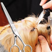 반려동물 수제품 미용 이발가위 민가위 5.5in치, 단일, 본품