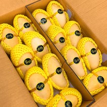 프레시마켓 항공 태국망고 18Brix 고당도 남독마이 망고 2.5kg 5kg, 5kg, 1개