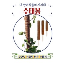 수태봉 식물지지대 연결형 넝쿨식물 지주대, 연결형(일반형), 30cm