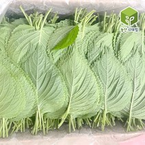 국내산 찹찹이 깻잎 2kg, 단품