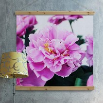 ps363-우드스크롤 90CmX90Cm-부를부르는풍수작약꽃