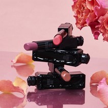 ANNASUI 안나수이 클래식 루즈 [스퀘어 핸드 미러], 400 마피아 칠리 레드