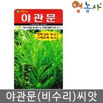 아람 야관문씨앗 20g, 비수리