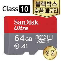 샌디스크 아이패스블랙 ITB-5000FHD 메모리 SD카드 64GB