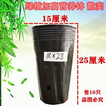 블랙 비닐 화분 모종 포트 분갈이 컵 비닐포트 육묘 묘목 원예 다육이 화훼 식물 대형 텃밭, 3. 18x25x50pcs