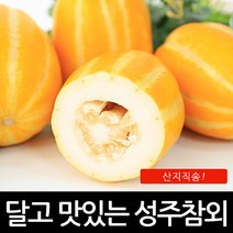 진짜 성주 꿀 참외 못난이 3kg 5kg 17900원 포장재무게포함, 진짜성주꿀참외못난이 포장제무게포함, 3kg랜덤과
