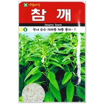 가지/파/참깨 씨앗 택1 대흑장가지 흑금장파 참깨 파테크 파심기, 참깨 1000립