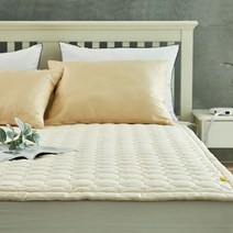라디언스 라디클래식 원적외선 딥 슬립 전기매트 온열매트, 크림베이지(싱글100x200cm)