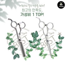 JENIS 제니스 미용가위 전문가용 가정용 셀프컷 틴닝 숱 커트가위 연습용컷트보 증정 7종세트, 1홈(약 30% 커팅)