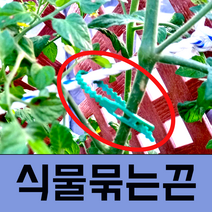고추나무 방울토마토 클립 수세미 포도나무 아이비 고추대 나팔꽃 작물 줄기 지지대 집게, 대50개(-2~2개까지 개수 차이) * 10개