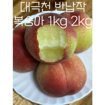 대극천 반납작 복숭아 1kg 2kg 납작복숭아 딱딱이 말랑이 신비복숭아 거반도 대극천 천도 백도 황도 하우스 납작 반납작, 1개