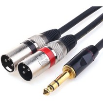 DISINO １/4 TRS to Dual XLR Male Y-Splitter Stereo Breakout Cable 1/4 inch(6.35mm) to 2 XLR Patch Cab, 1