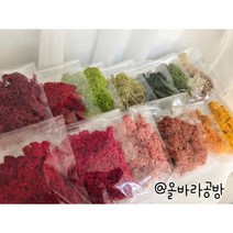스칸디아모스 소량 소분 소포장 DIY 화분 10g 20g 30g 40g 50g 60g 70g 80g 90g 100g, 올드스프링