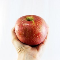 국내산 햇사과 부사 사과 꿀사과 가정용 10kg 5kg 3kg (국내산)