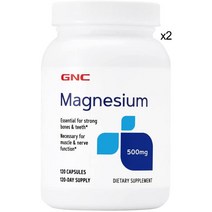 GNC 산화 마그네슘 500mg 120캡슐 x 2통 Magnesium Oxide