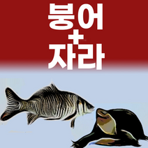 [동성탕제원] 직접 제조 합니다 붕어+자라엑기스(진액) 110ml 60포 체질맞춤 1개월 2개월, 일반원료 2달분