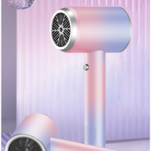 차이슨드라이기 고출력 음이온 헤어케어 전문가용, 파우더2300w