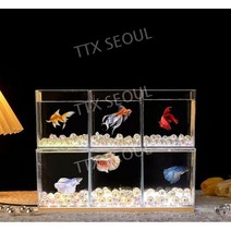 3자어항 일체형 스마트 식물 수조 축양장 수족관 물고기, 3칸 + 빛나는 받침대