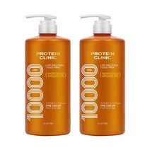LG생활건강 엘라스틴 프로틴클리닉 10000 단백질 고영양 샴푸 1000ml x 2개