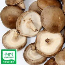 광헌팜 생표고버섯 1kg/2kg/4kg, 표고버섯 못난이 1kg, 1개