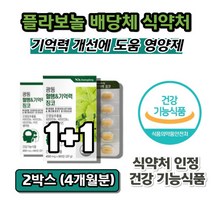 은행엽 은행잎 은행입 추출물 플라보놀 플라보노 프라보놀 프라보노 배당체 징코 진코 찡코 혈행개선 기억력 도움 영양제, 60정, 60정 X2박스