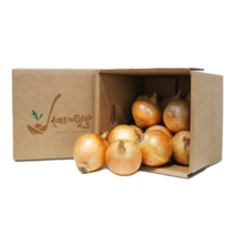 23년산 무안 황토 햇 양파 3kg / 5kg /10kg, 대 5kg (YHON050), 1개