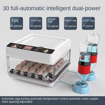 계란 부화기 병아리집 가정용 계란 인큐베이터 전자동 온도 제어 물 보충 온도 조절기 인공 부화기, 01 30 piece_01 220V EU Plug