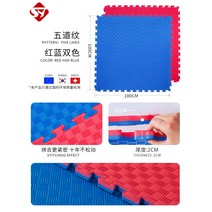 층간 소음 두꺼운 퍼즐 매트 바닥 셀프 시공 주짓수 태권도 고양이 두께 4cm, 5선 파랑 빨강 두께 2.0cm