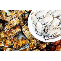 당일채취 최상급 굴 하프쉘 1단 2단 반각굴 30미 60미 90미 120미, 석화, 10kg