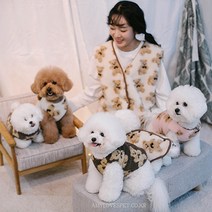 댕플룩 개플룩 그루밍독 곰 양면조끼 [견주용] 아이보리 FREE SIZE, 아이보리 [FREE SIZE]