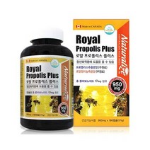 캐나다 로얄젤리 함유 프로폴리스 플러스 6개월분 프로폴리스 면역력영양제, 상세페이지 참조, 상세페이지 참조