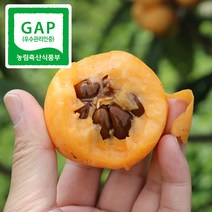 강진농장 GAP인증 완도 비파 열매, 1box, 5kg