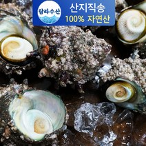 특대참소라 오늘만 이가격